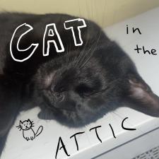 cat in the attic
